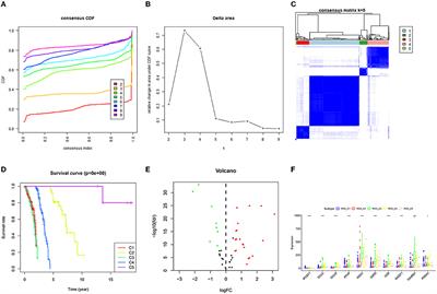 Identification of the Signature Genes and Network of Reactive Oxygen Species Related Genes and DNA Repair Genes in Lung Adenocarcinoma